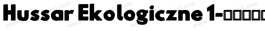 Hussar Ekologiczne 1字体转换